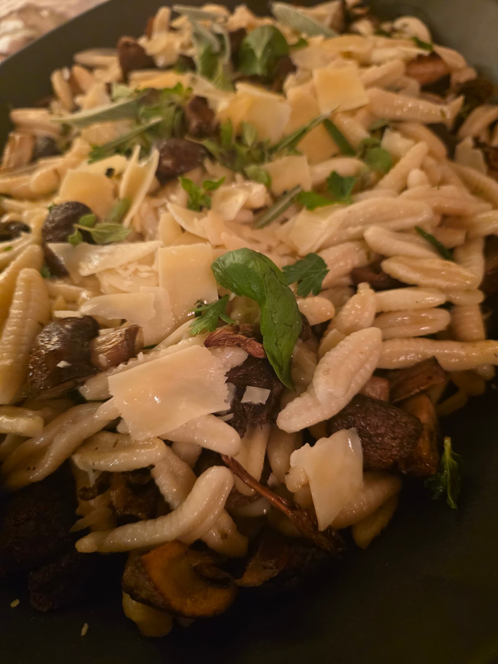Fresh Cavatelli with Wild Mushrooms